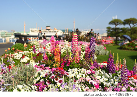 Yokohama · Yamashita Park 48698673