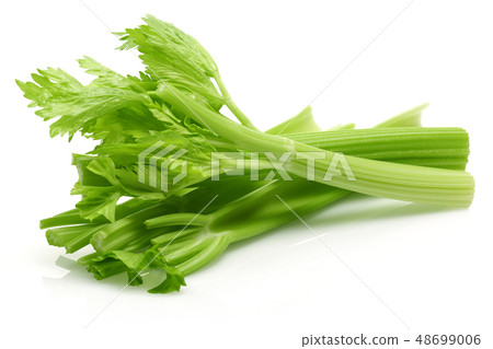 Fresh celery stalks and leaves isolated 48699006