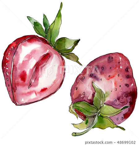 Strawberry healthy food in a watercolor style isolated. Watercolor background set. Isolated berry Strawberry healthy food in a watercolor style isolated. Watercolor background set. Isolated berry 48699102