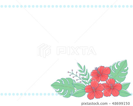 Hibiscus frame Hibiscus frame 48699150