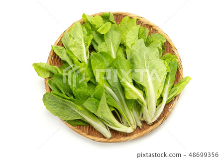 Shinrynai Shinrynai 48699356