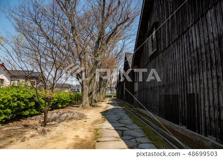 山形縣坂田市Yamai倉庫和Zelkova樹 48699503