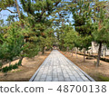 Pilgrim ropeway 48700138