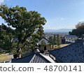 Pilgrimage Hill 48700141