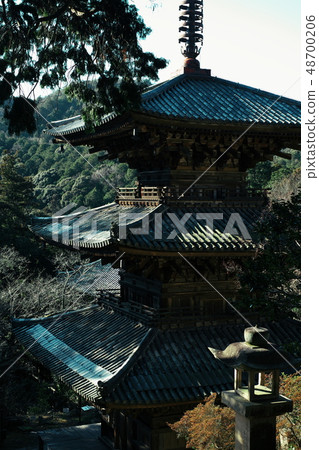 Ichi-ji寺三重塔兵庫 48700206