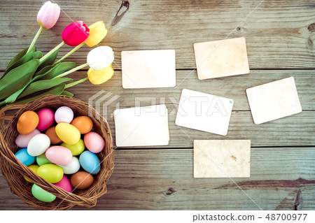 Spring background Spring background 48700977