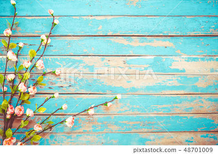 Cherry blossom flowers Cherry blossom flowers 48701009