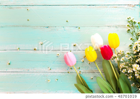 Flower background Flower background 48701019