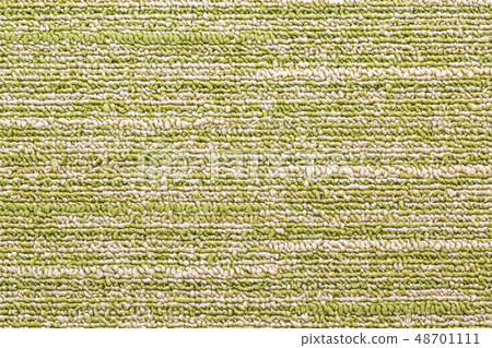 carpet 48701111