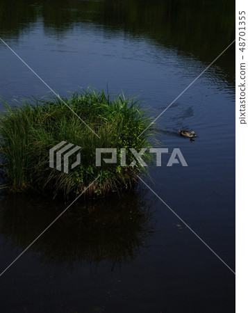 Landscape Lake Pond Landscape Lake Pond 48701355