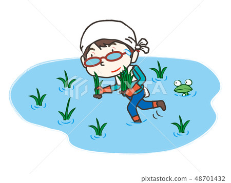 Farmer rice planting rice planting - Stock Illustration [48701432] - PIXTA