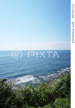 Amami Oshima Yamato village August 2018 _ 2 48702112