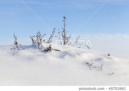 Grass cold snow sunny sky. Grass cold snow sunny sky. 48702661