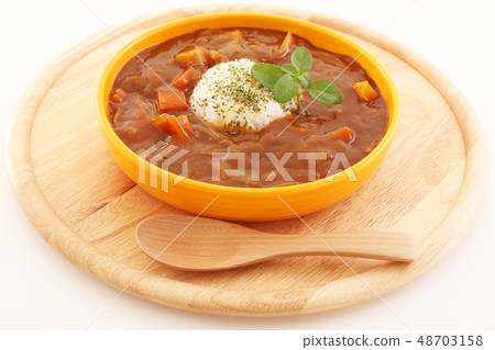 A delicious curry rice 48703158