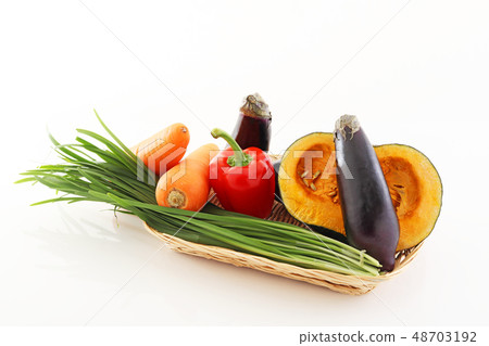 Fresh vegetables Fresh vegetables 48703192