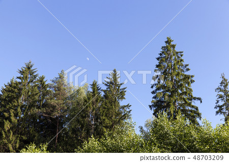 Landscape sky Moon 48703209