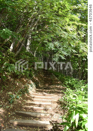 Mountain path Mountain path 48703646