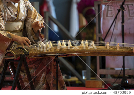 Koto japanese harp 48703999