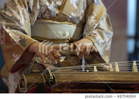 Koto japanese harp Koto japanese harp 48704004