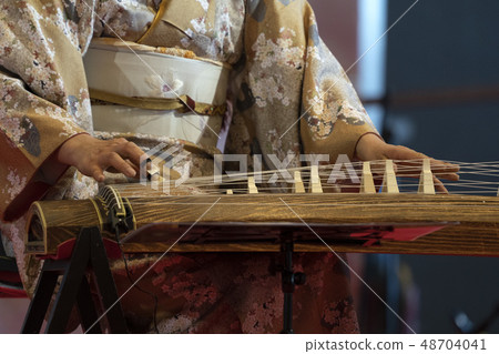 Koto japanese harp Koto japanese harp 48704041