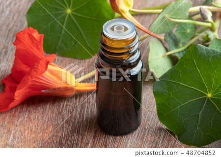 Nasturtium tincture with fresh blooming Tropaeolum 48704852