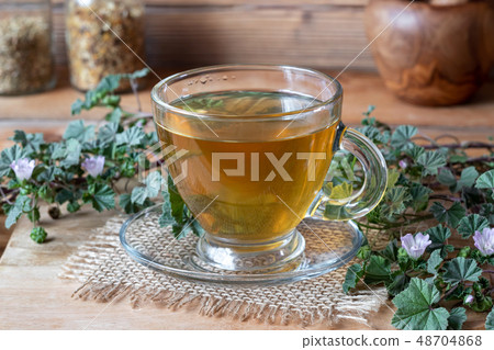 A cup of mallow tea with fresh blooming mallow A cup of mallow tea with fresh blooming mallow 48704868