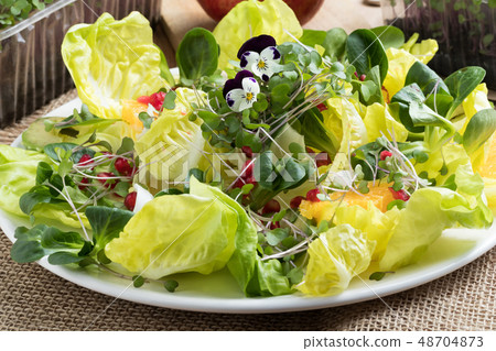 Vegetable salad with fresh microgreens and flowers Vegetable salad with fresh microgreens and flowers 48704873