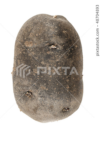 purple potato isolated purple potato isolated 48704893
