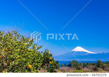 (Shizuoka) From Nishiizu Iida, Mt. Fuji over the ocean (Shizuoka) From Nishiizu Iida, Mt. Fuji over the ocean 48705279
