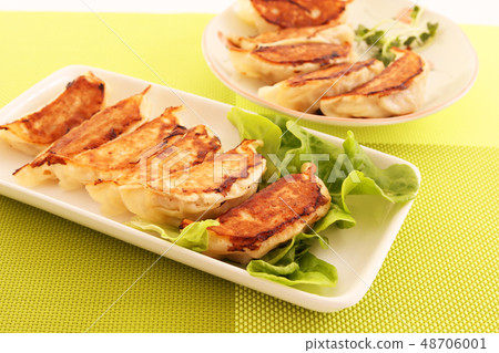 Looks delicious grilled dumplings Looks delicious grilled dumplings 48706001