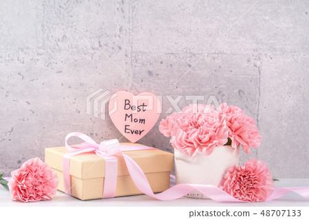 Mother's Day Carnation Gifts カーネーション 清水模 モックアップ Mother's Day carnation 48707133