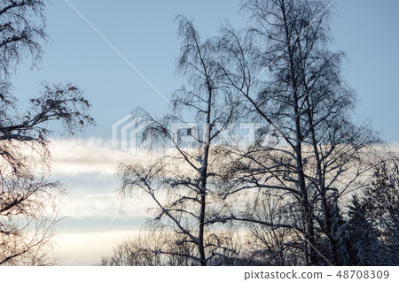 A wonderful winter landscape in beautiful Bavaria A wonderful winter landscape in beautiful Bavaria 48708309