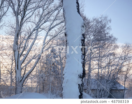 A wonderful winter landscape in beautiful Bavaria A wonderful winter landscape in beautiful Bavaria 48708319