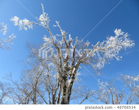 Hiruzenyama 48708534