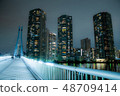 中央東京市夜視圖 48709414