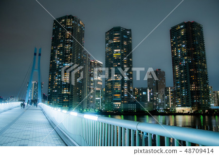 中央東京市夜視圖 48709414