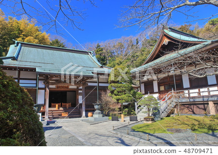 [神奈川縣]天氣晴朗的北國寺主殿 48709471