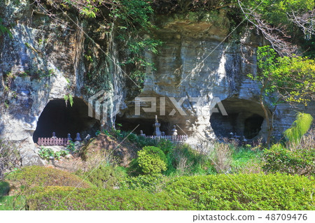 [Kanagawa Prefecture] Hokokuji Temple of Mr. Ashikaga 48709476
