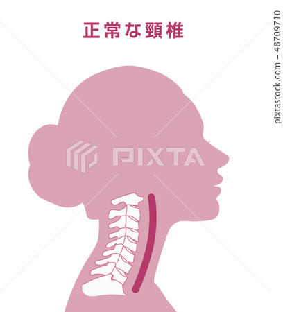 Normal cervical vertebra Normal cervical vertebra 48709710