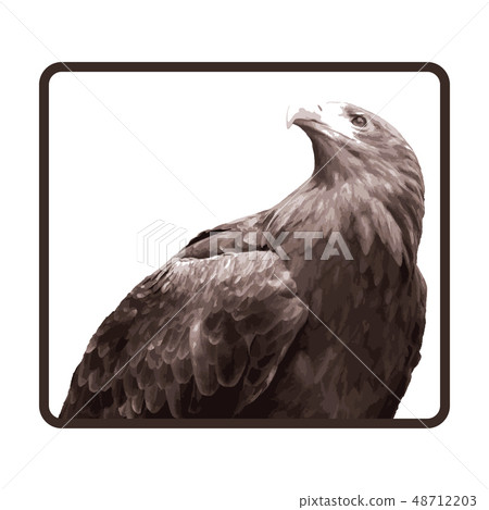 The upper half of the brown eagle The upper half of the brown eagle 48712203