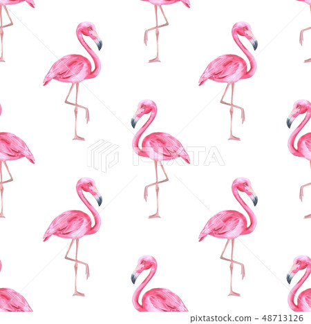 Tropical bird. Pink flamingo seamless pattern 48713126