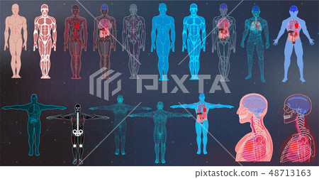 X-Ray Body Collections in Futuristic HUD SCI Style 48713163
