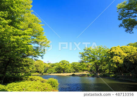 Kitanomaru Park Kitanomaru Park 48713356