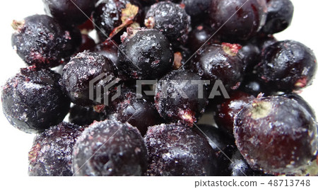 frozen black currant with ice isolated on white  48713748
