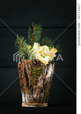 Leucojum vernum in decorative vase 48713927