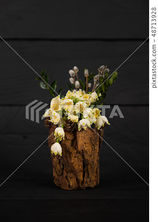 Leucojum vernum in a decorative vase 48713928