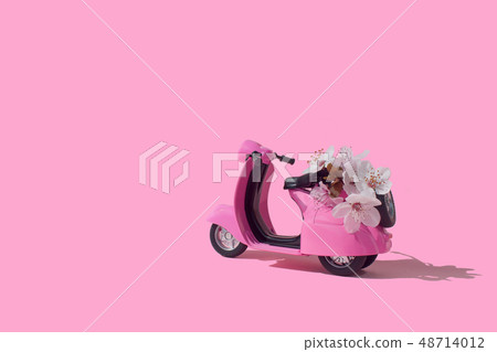 Pink retro toy bike delivering bouquet of flowers Pink retro toy bike delivering bouquet of flowers 48714012