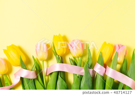 Easter scene with colored eggs 48714127