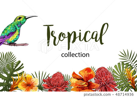 Summer Tropical Exotic Leaves and Branches composition with lettering 48714936