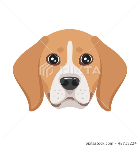 dog pet head icon 48715224